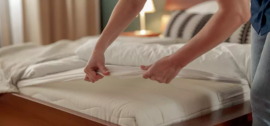 Bed Bug Extermination Services in Newnan