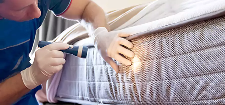Residential Bed Bug Treatment Cost in Newnan