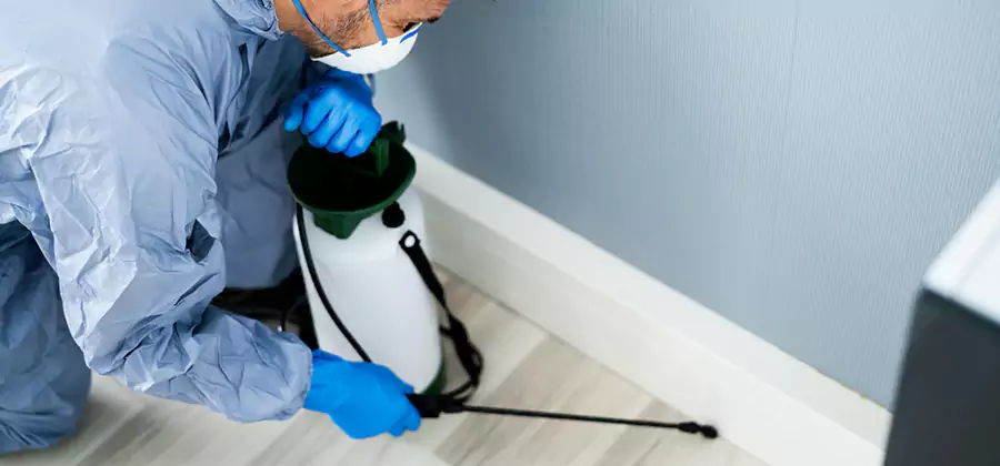 Fumigate Apartment Roaches in Newnan
