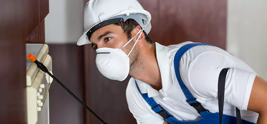 Injection Foam Treatment for Drywood Termites in Newnan