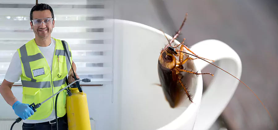 German Roach Infestation Treatment Newnan