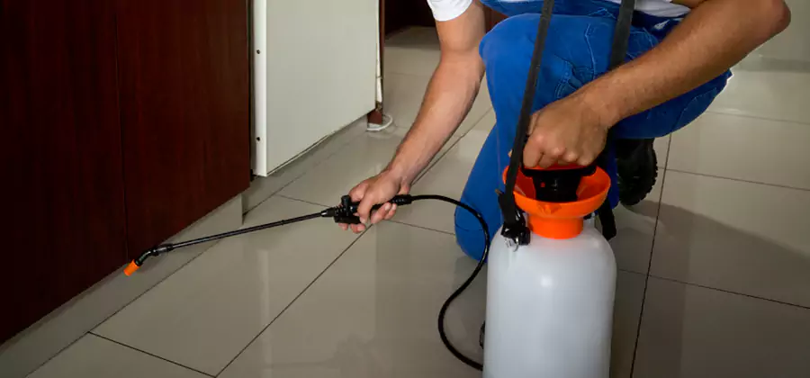 Indoor Mosquito Treatment in Newnan