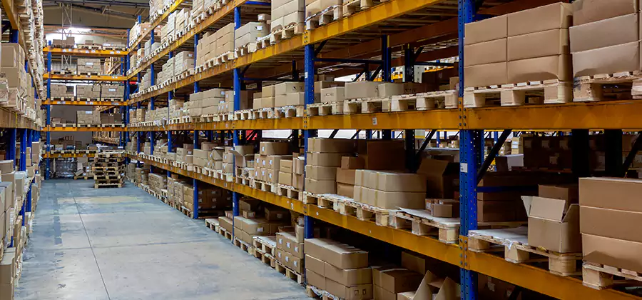 Warehouse Pest Control in Newnan