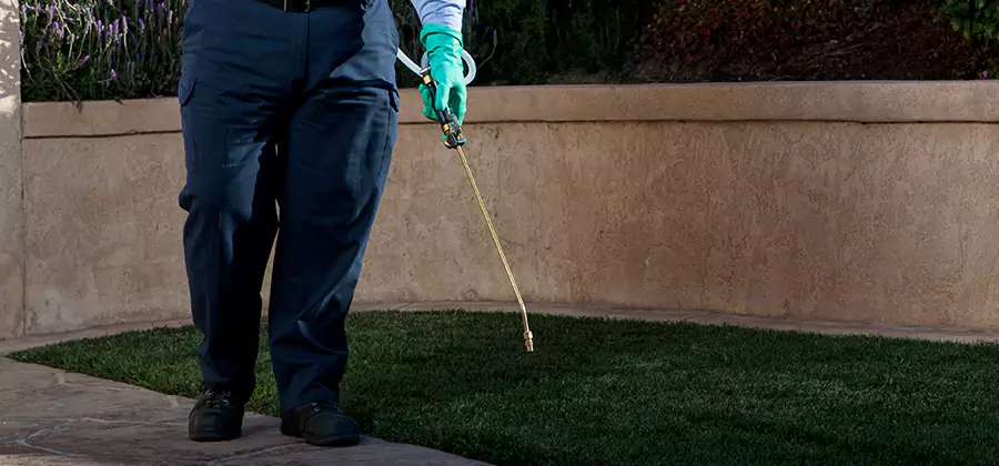 Soil Treatment for New Construction Termites in Newnan