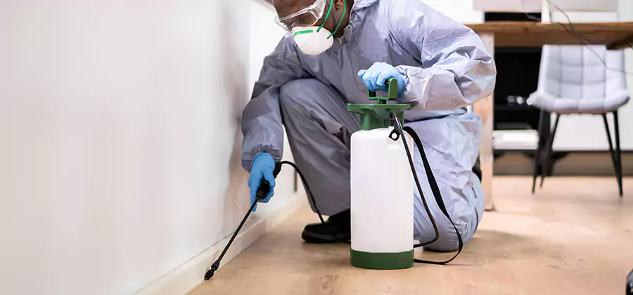 No Tent Termite Extermination With Electric Tool in Newnan