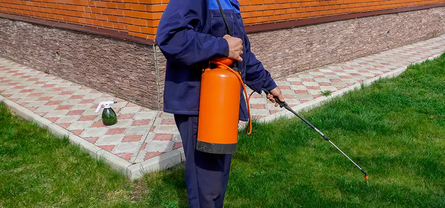Non Toxic Termite Treatment in Newnan