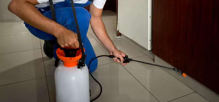One Time Termite Control in Newnan