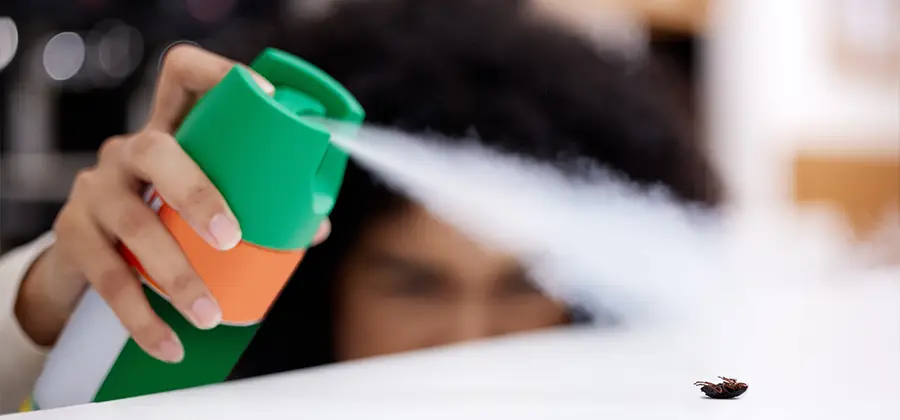 Child Safe Bed Bug Treatment in Newnan