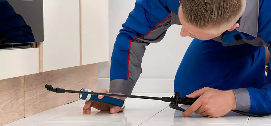 Moisture Treatment For Termite Control Service in Newnan