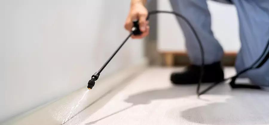 Direct Termite Injection Treatment in Newnan