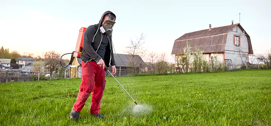 Flea and Tick Pest Control in Newnan