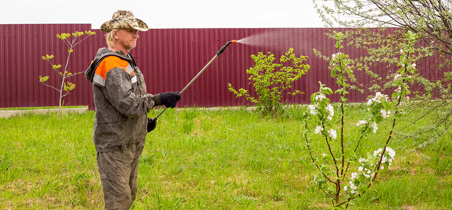 Flea and Tick Spray for Yard in Newnan
