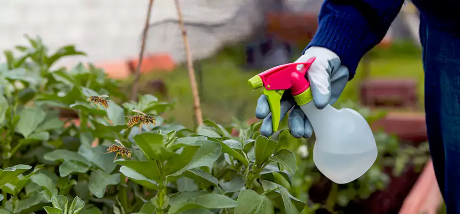 Yellow Jacket Pest Removal for Commercial Properties in Newnan