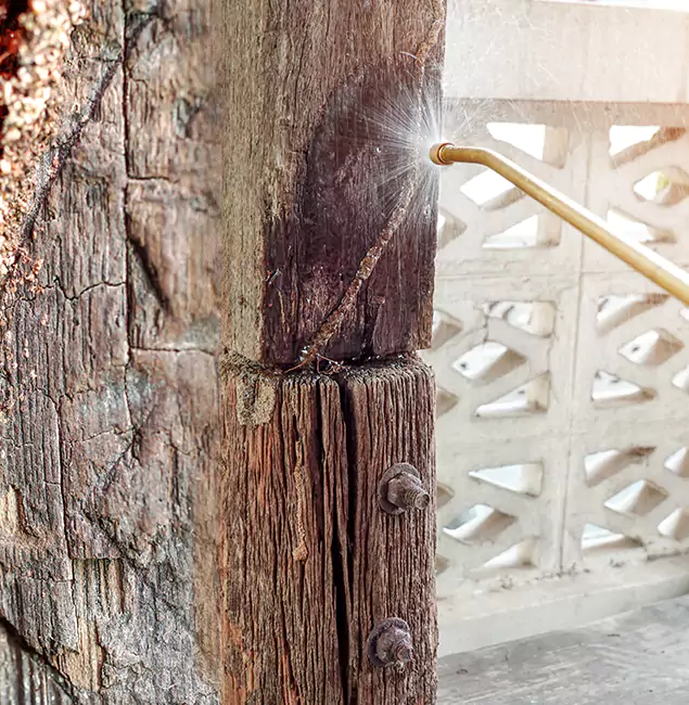 Why Choose Newnan Pest Control Pro for Attic Termite Treatment in Newnan, GA?