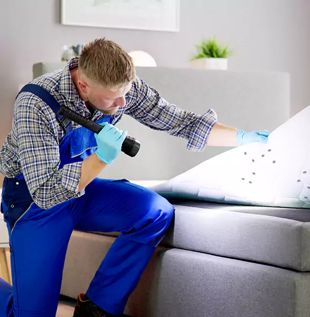Why Choose Newnan Pest Control Pro for Bed Bug Exterminator Cost in Newnan, GA?