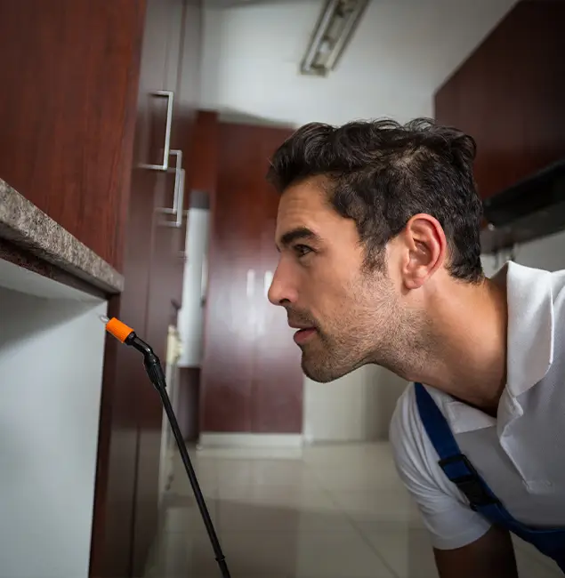 Why Choose Newnan Pest Control Pro for Bed Bug Removal Cost in Newnan, GA?