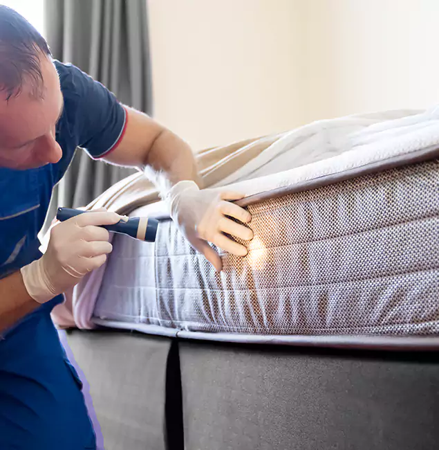 Why Choose Newnan Pest Control Pro for Bed Bug Services in Newnan, GA?