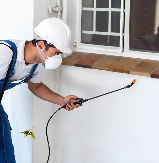 Why Newnan Property Owners Choose Newnan Pest Control Pro for Bee Nest Removal?