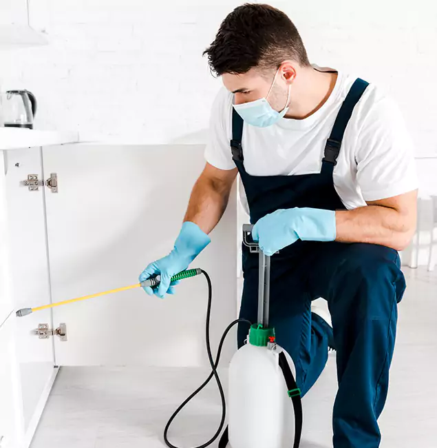 Why Choose Newnan Pest Control Pro for Emergency Pest Control in Newnan?
