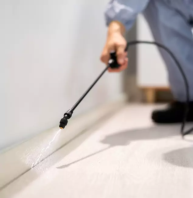Why Choose Newnan Pest Control Pro for Termite Treatment in Newnan, GA?