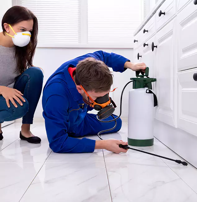 Why Newnan, GA Homeowners Trust Newnan Pest Control Pro for Roach Control?