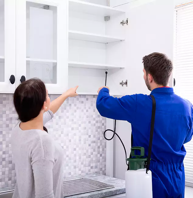 Why Newnan Property Owners Choose Newnan Pest Control Pro for Ground Bee Removal?