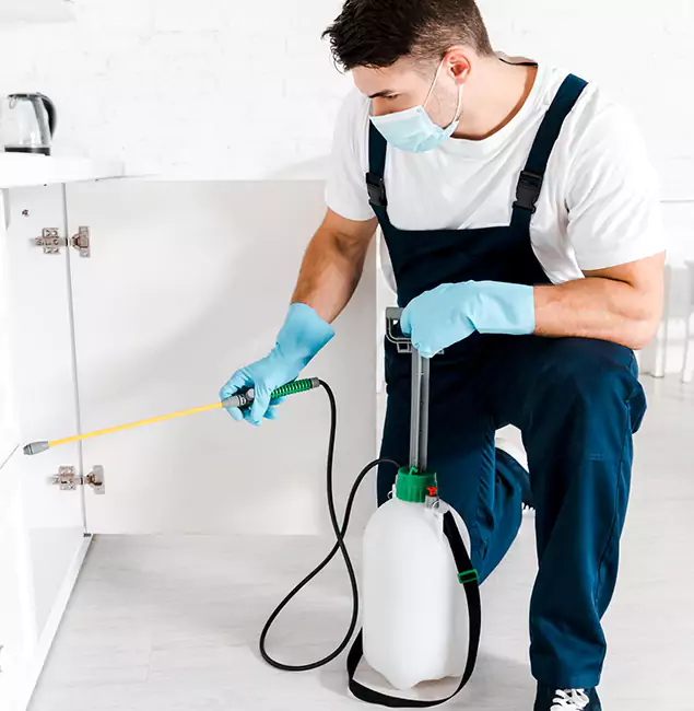 Why Choose Newnan Pest Control Pro for Indoor Pest Control in Newnan, GA?