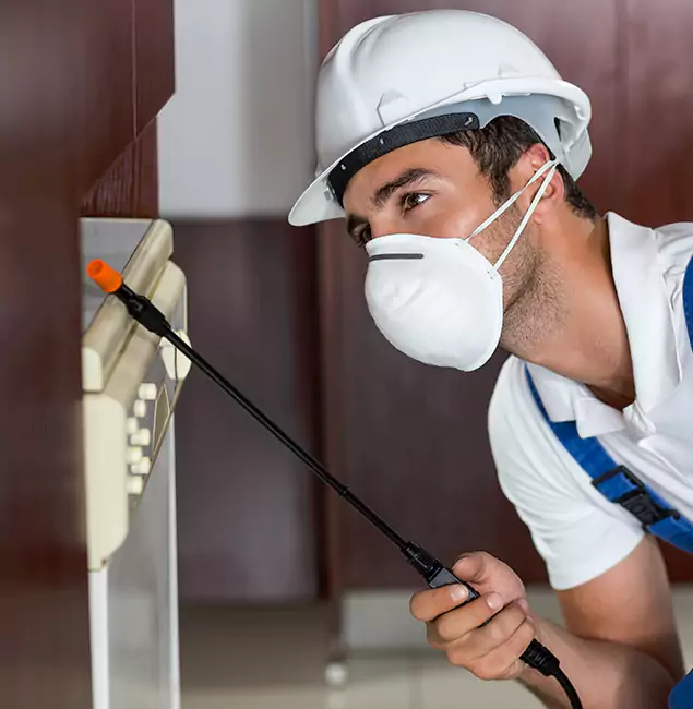 Why Newnan Homeowners Rely on Newnan Pest Control Pro for Tick Treatment?