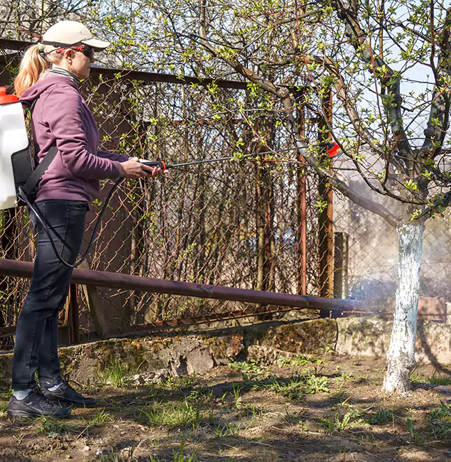 Why Newnan Homeowners Choose Newnan Pest Control Pro for Mosquito Abatement?