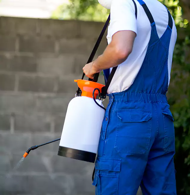 Why Newnan Homeowners Rely on Newnan Pest Control Pro for Mosquito Control?