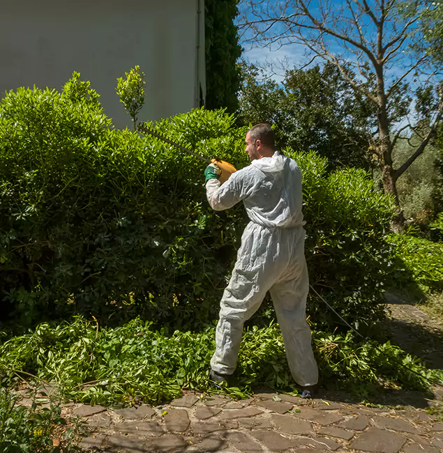 Why Newnan Pest Control Pro Leads Mosquito Control in Newnan, GA?