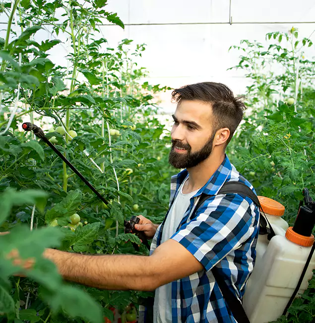 Why Newnan Homeowners Choose Newnan Pest Control Pro for Mosquito Spraying?