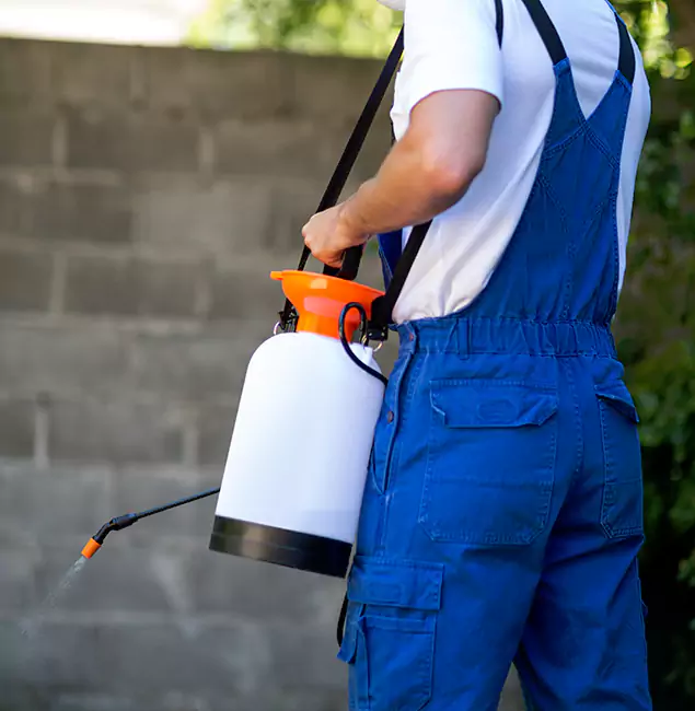 Why Newnan Pest Control Pro Delivers the Best Mosquito Control in Newnan, GA?