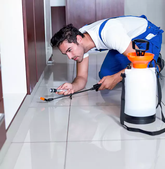 Why Newnan Pest Control Pro Is the Proven Choice in Newnan, GA?