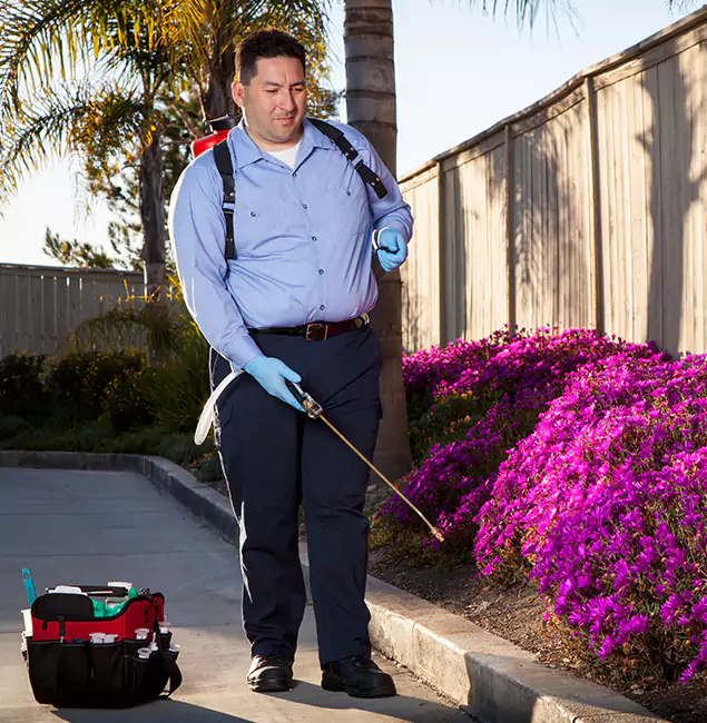 Why Choose Newnan Pest Control Pro in Newnan, GA?