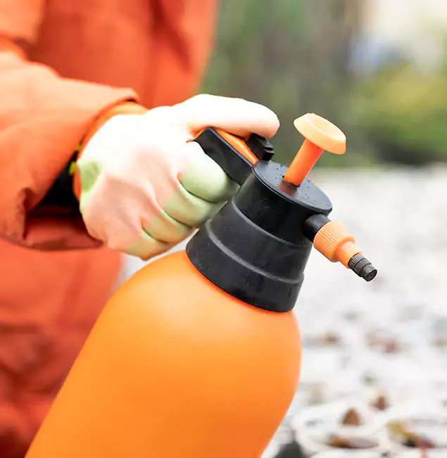 Why Choose Newnan Pest Control Pro for Orange Termite Treatment in Newnan, GA?