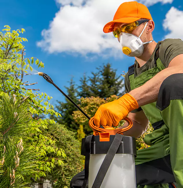 Why Choose Newnan Pest Control Pro for Outdoor Pest Control in Newnan, GA?