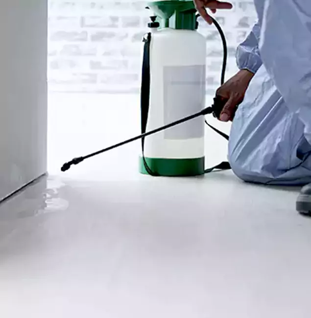 Why Choose Newnan Pest Control Pro for Rat Exterminator in Newnan, GA?