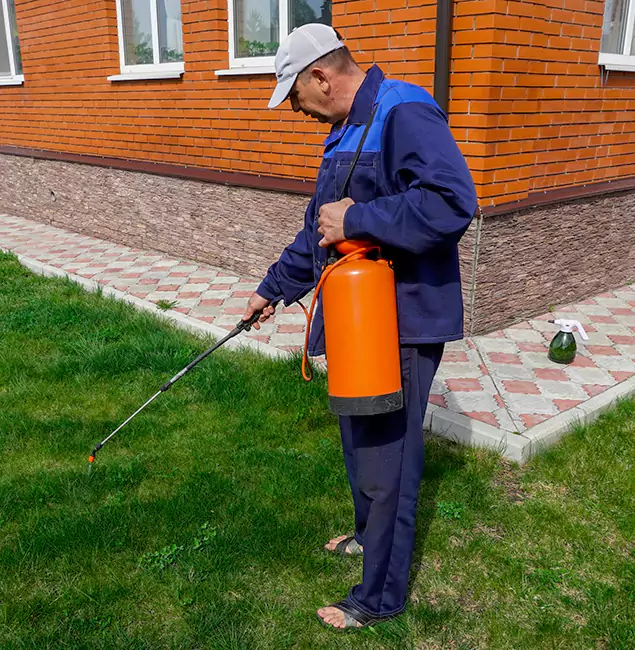 Why Choose Newnan Pest Control Pro for Residential Pest Control in Newnan, GA?