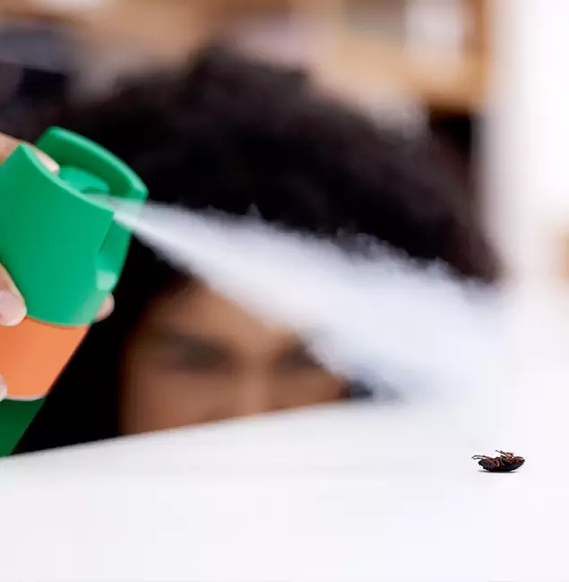 Why Newnan, GA Homeowners Choose Newnan Pest Control Pro for Roach Pest Control?