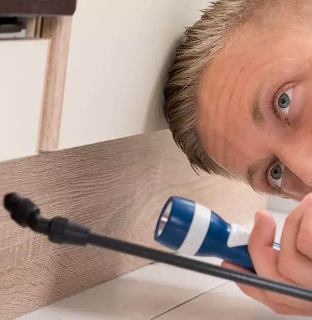 Why Choose Newnan Pest Control Pro for Rodent Exterminator in Newnan, GA?