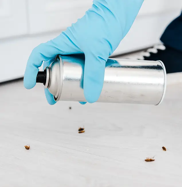 Why Choose Newnan Pest Control Pro for Safe Bed Bug Treatment in Newnan, GA?