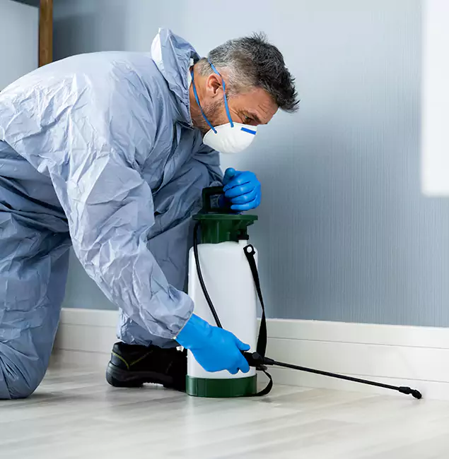 Why Choose Newnan Pest Control Pro for Subterranean Termites Treatment in Newnan, GA?