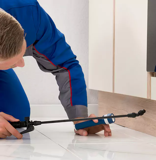 Why Newnan Residents Choose Newnan Pest Control Pro to Get Rid of Sugar Ants?
