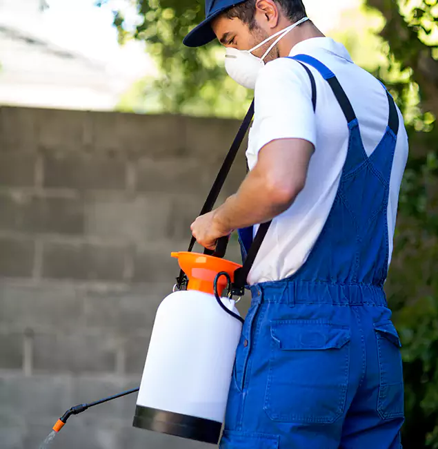 Why Choose Newnan Pest Control Pro for Termite Barrier in Newnan, GA?