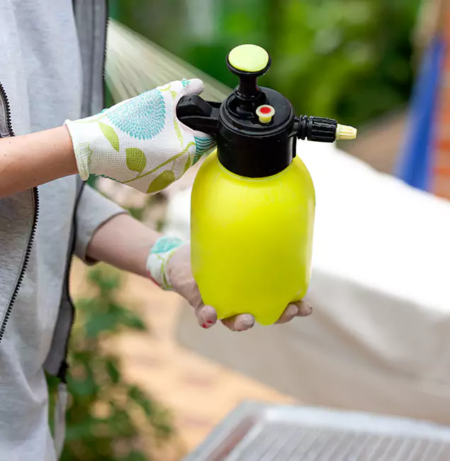 Why Choose Us: Newnan Pest Control Pro Termite Spraying Experts in Newnan, GA?