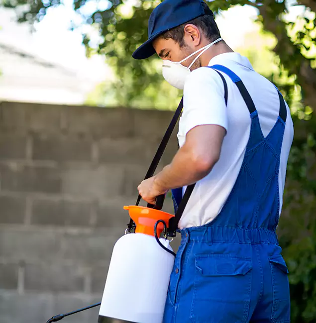 Why Newnan Pest Control Pro Is the Right Choice for Yellow Jacket Removal in Newnan, GA?