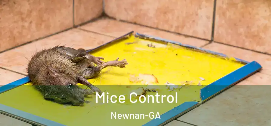 Mice Control Newnan-GA