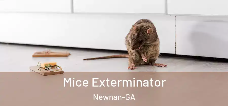  Mice Exterminator Newnan-GA