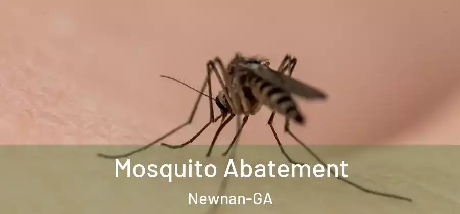 Mosquito Abatement Newnan-GA